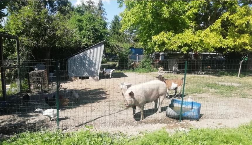 L'Esprit De Famille Villa Saint-Parres-les-Vaudes Eksteriør billede